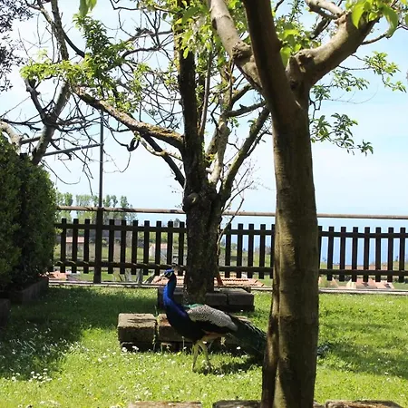 La Agerola